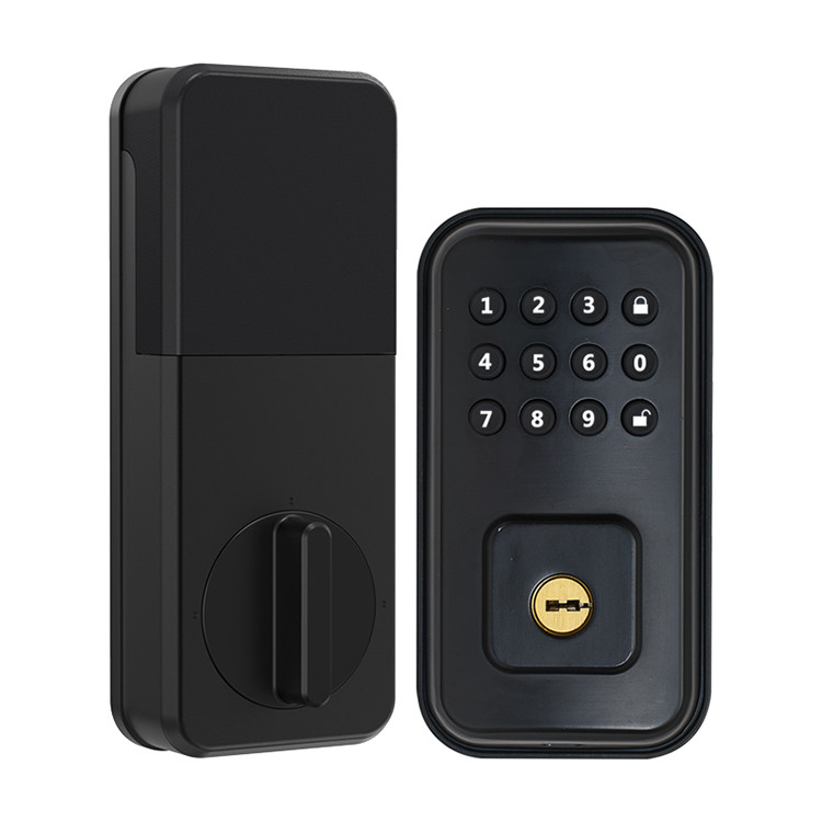 Keamanan Cerdas Biometrik Kunci Listrik Magnetik Kunci Pintu Pintar Sidik Jari