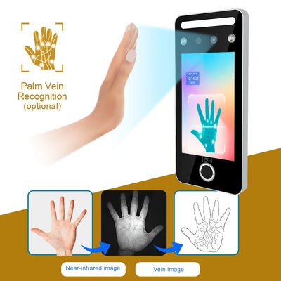 Face Recognition Access Control Terminal (AI07F)