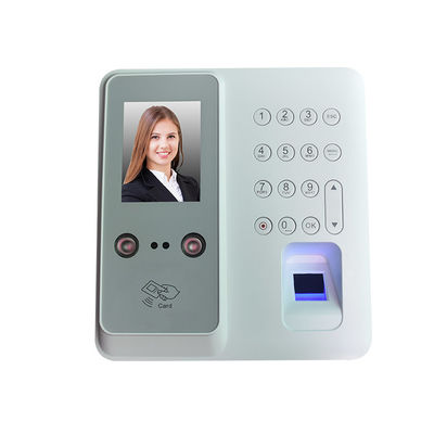 Mesin Absensi Pengenalan Wajah TMF610