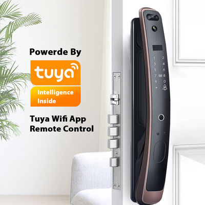 Wifi Tuya Smart Lock Kontrol Akses 3D Kunci Pintu Pengenalan Wajah